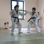 05_Ilbo_Taeryon