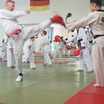 03_Naeryo_Chagi