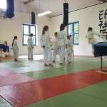 04_Kicken
