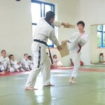 06_Kyokpa_Dollyo_Chagi